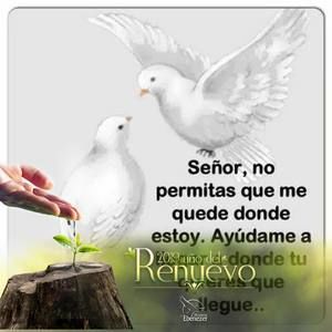 Meet your Posher, Delmin